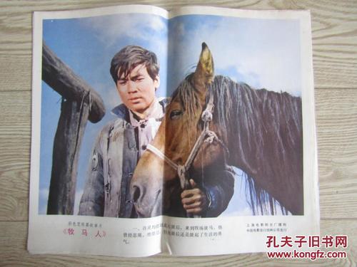 应届毕业生学历证书号